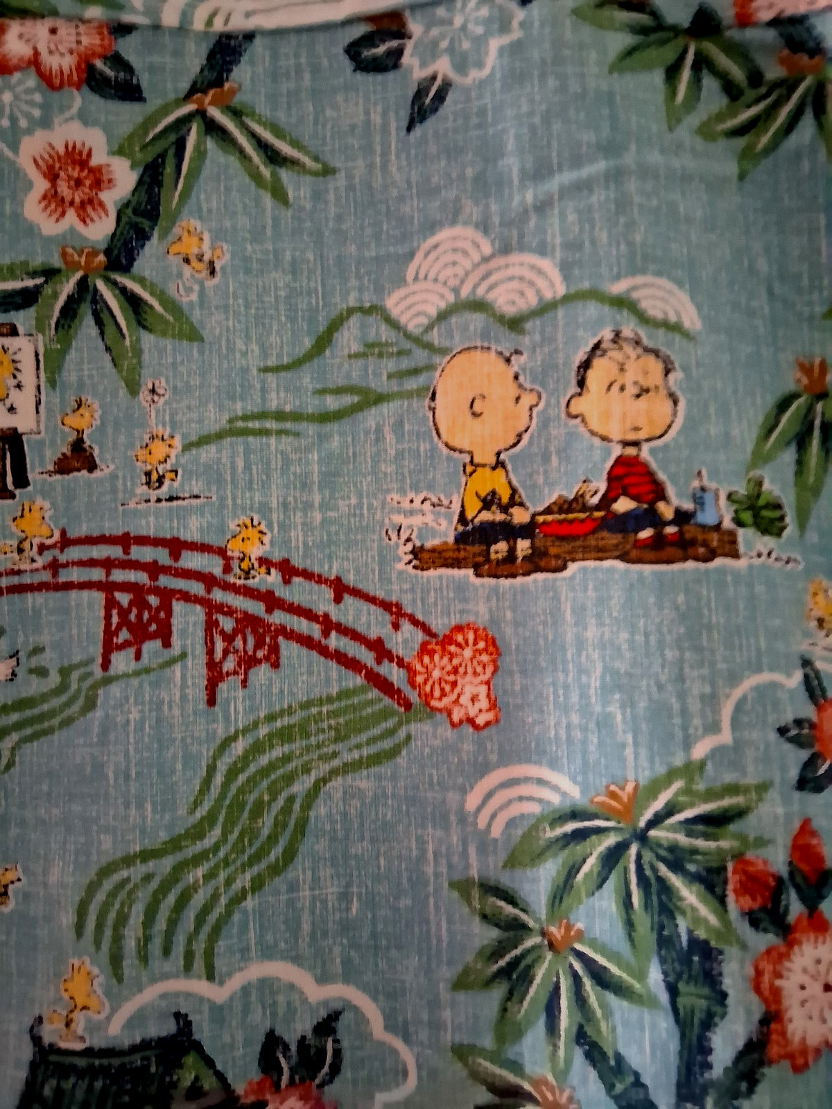 Reyn Spooner Men’s ” PEANUTS IN JAPAN” NWT TAILORED FIT Aqua Button Front Sizes