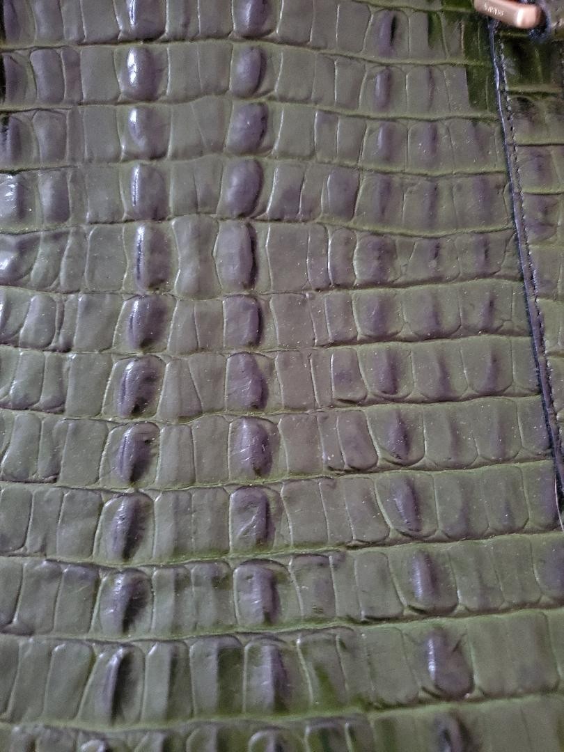 NEW Dustbag Rare Brahmin Anywhere Weekender Bag Green La Scala Tote CHARM Croc