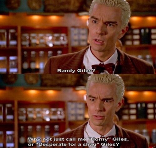Buffy the Vampire Slayer T-Shirt ♡ SPIKE a.k.a. Randy Giles ✩ 90s BTVS Funny!
