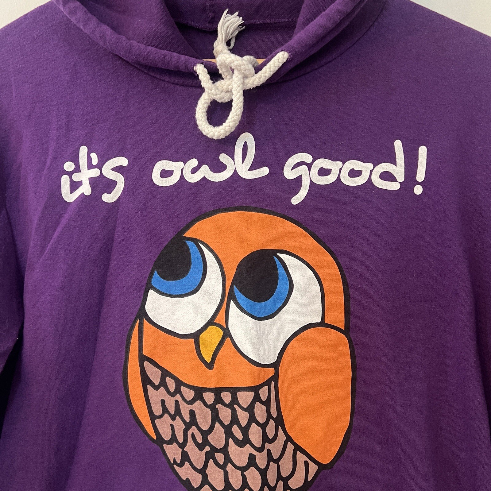 It’s Owl Good Unisex Sweatshirt Jumper Owl Lover Gift Cozy Hoodie Purple Small
