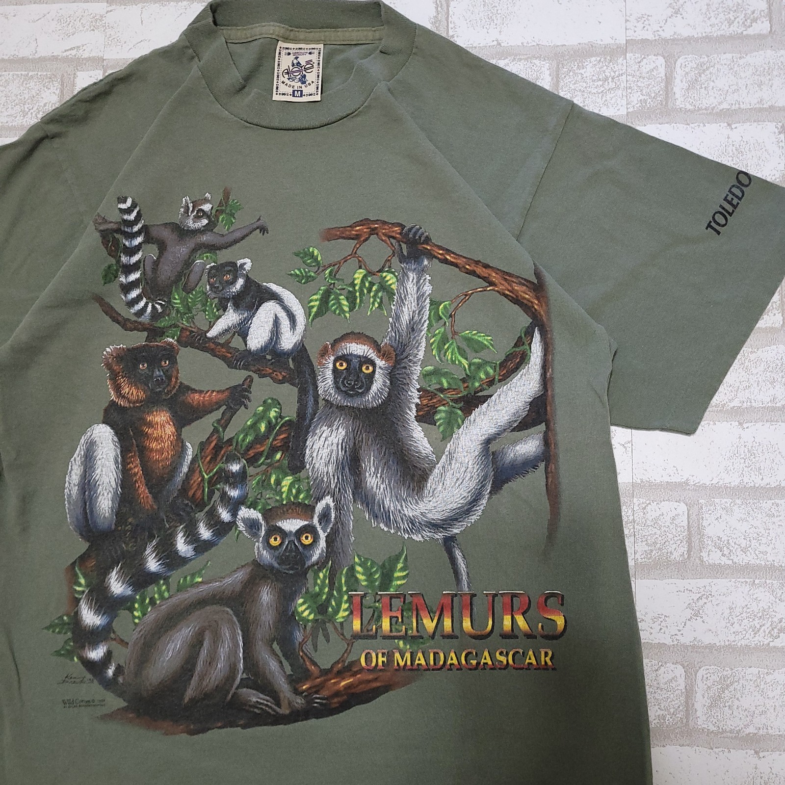 Vintage 90s Lemurs of Madagascar Toledo Zoo Green Wildlife Animals T-Shirt Men M