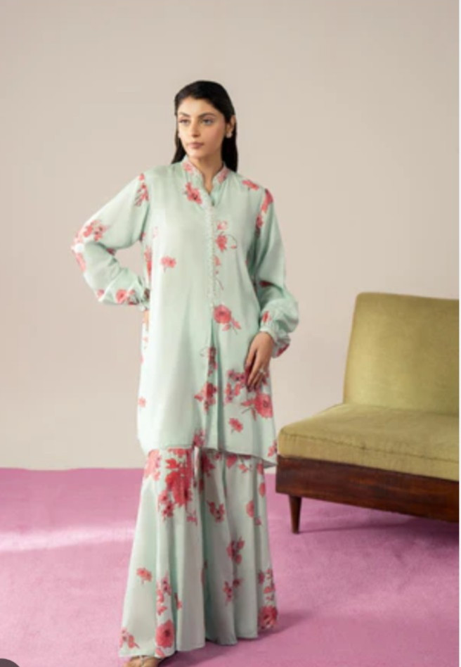 Pakistani designer Shalwar Kameez Dress 2 pcs