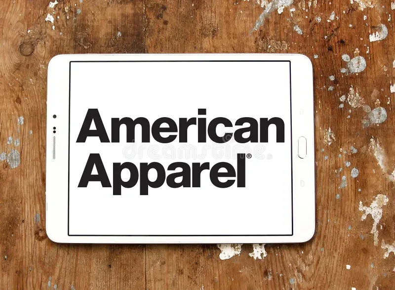40 Pc Bulk Load for Resellers American Apparel Womens Juniors Wholesale