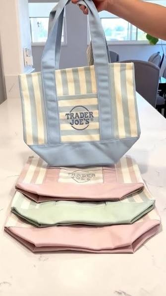 Trader Joes Mini Stripe Tote – Choose Your Color-NWT