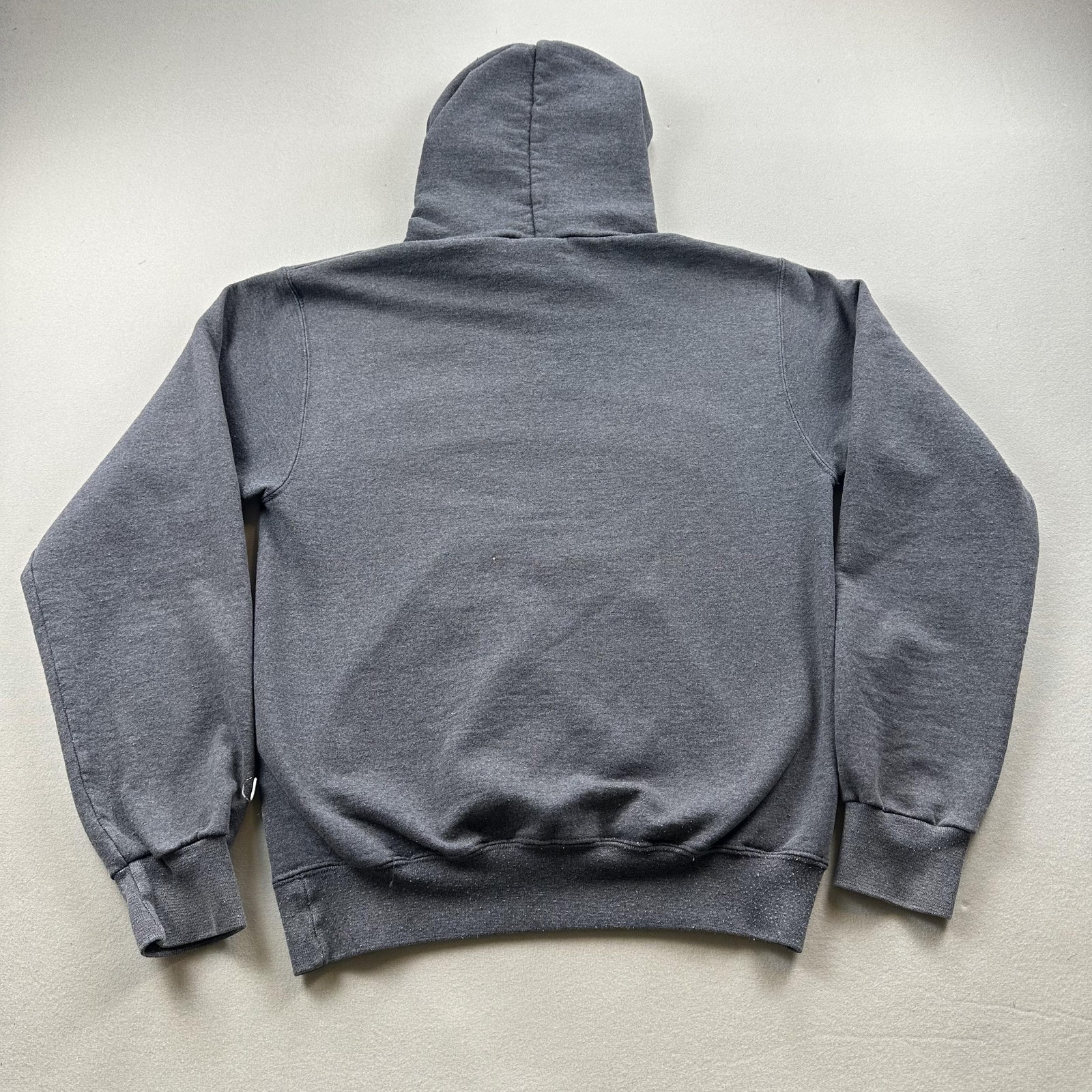 Willamette University Hoodie Sweatshirt Mens Small Gray Champion Fleece College