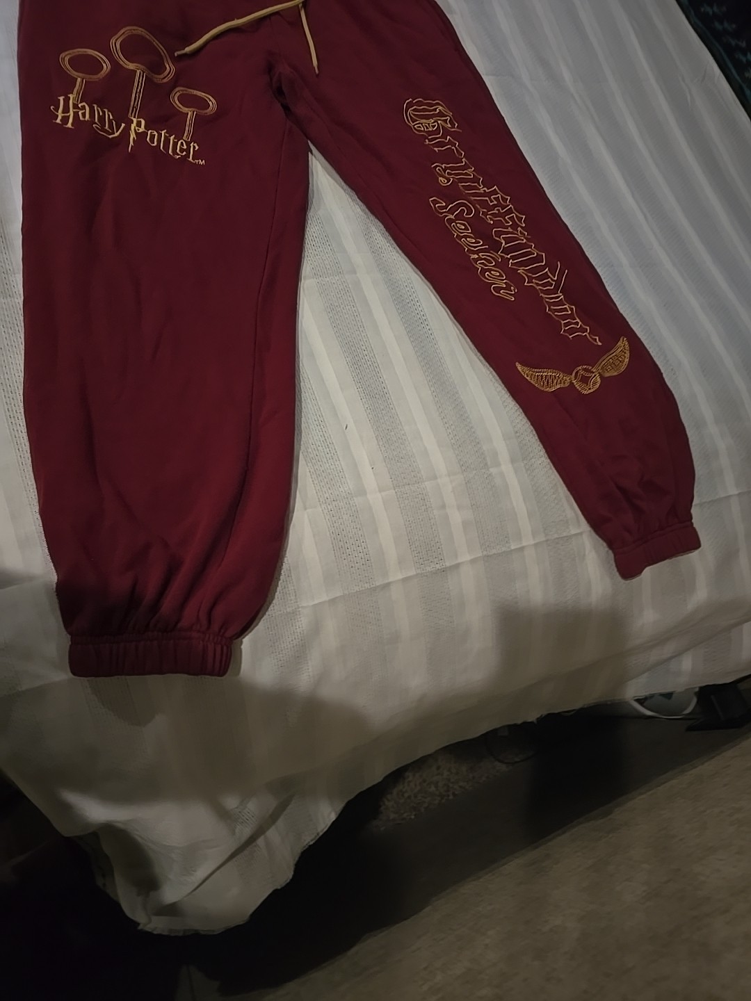 Harry Potter Gryffindor Quidditch Seeker Woman’s M 2 Piece Hoodie/Sweatpant