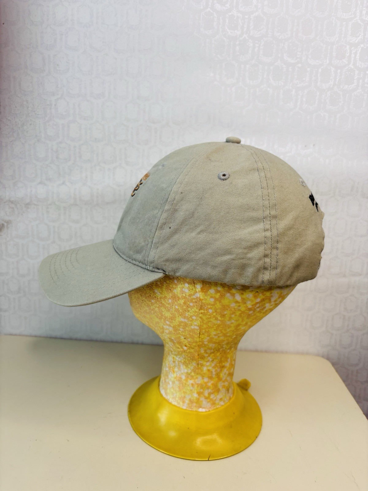 Starbucks Barnes & Noble Cafe Strapback Hat Cap Khaki Slouch Dad
