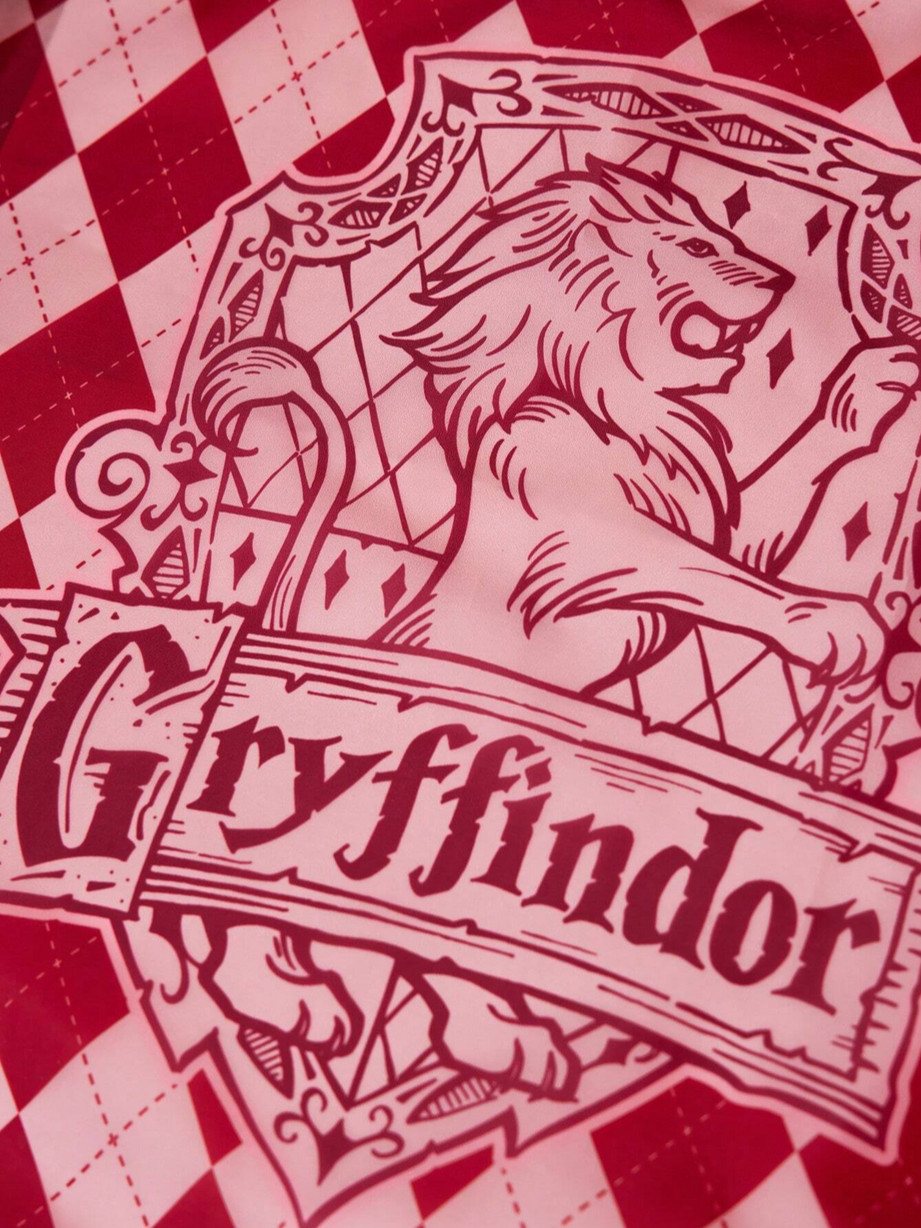 Harry Potter GRYFFINDOR Lightweight Over Night Shopping Beach Bag + Zipper Pouch