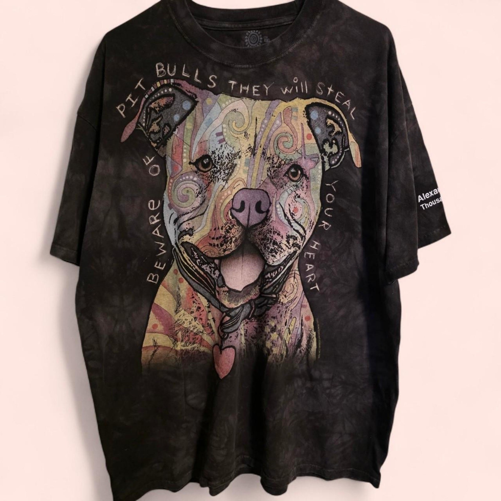 2013 The Mountain Pitbull Graphic Tie Dye Tee
