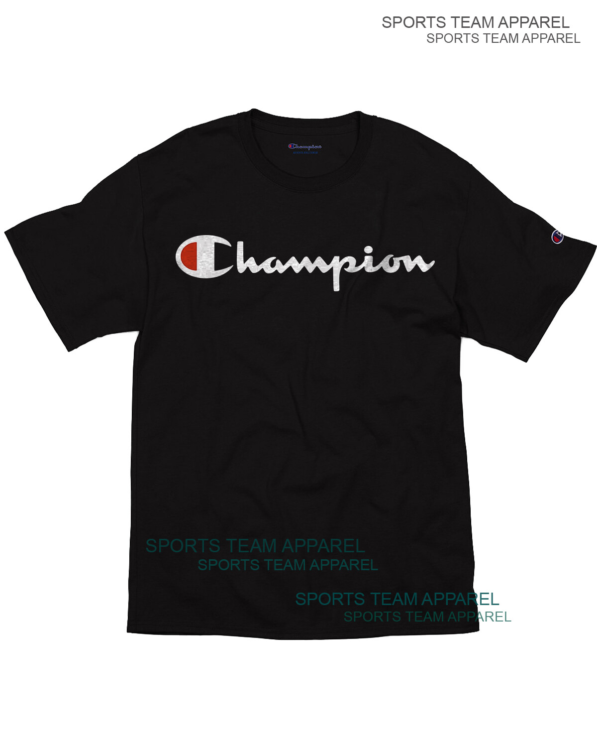 Champion T-Shirt Men’s Jersey Tee Classic Fit Script Logo