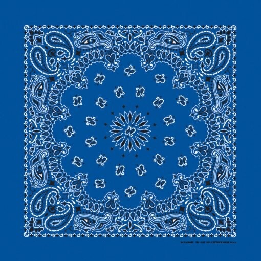 Royal Paisley 22×22 Bandanna