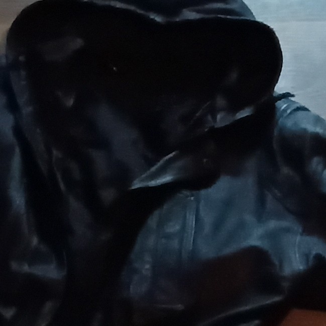 D.A.R. Men’s Black Leather Bomber Jacket Zip-Up Lined Size XL (44 in)