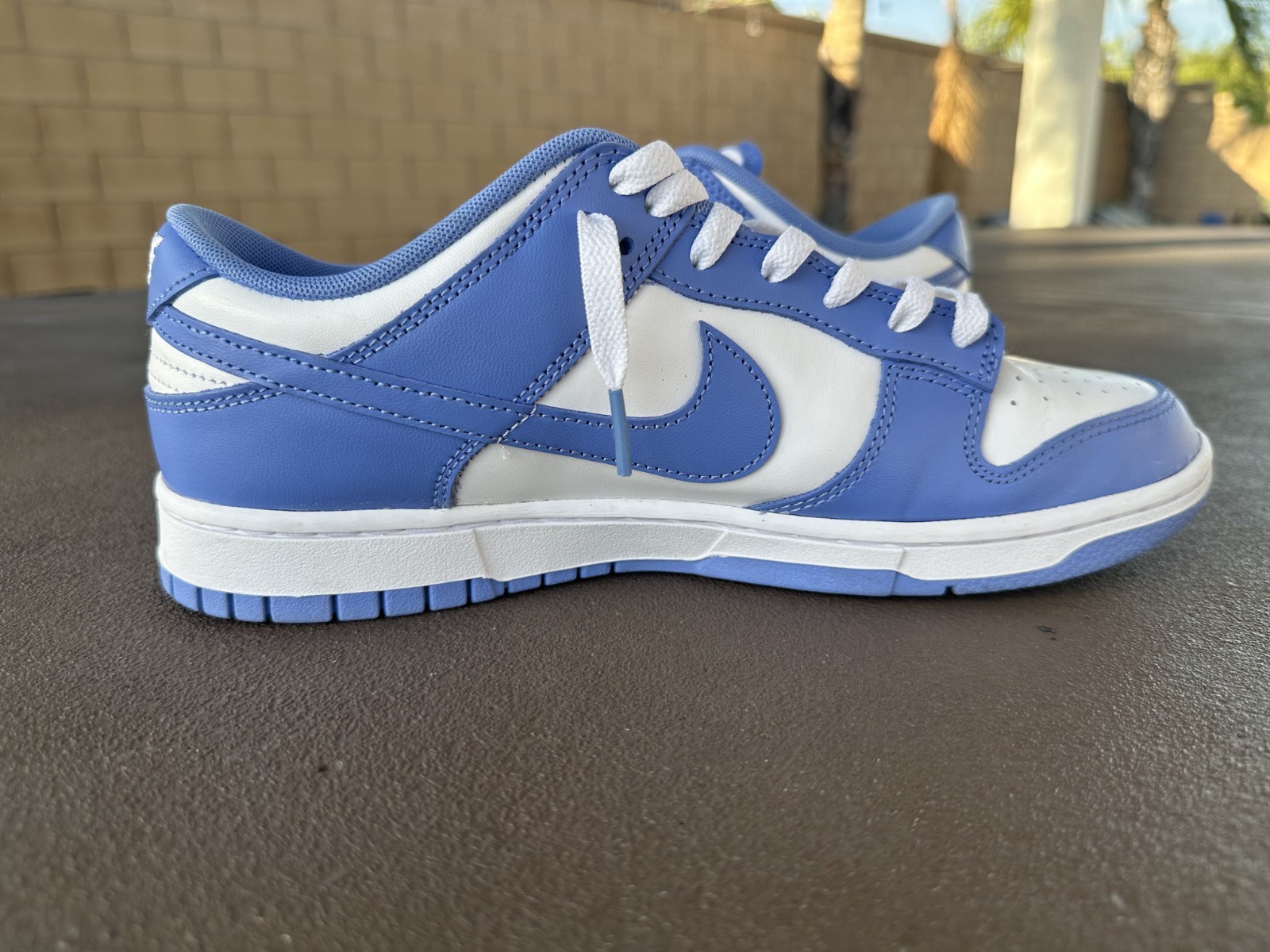 Size 10 – Nike Dunk Low Polar Blue