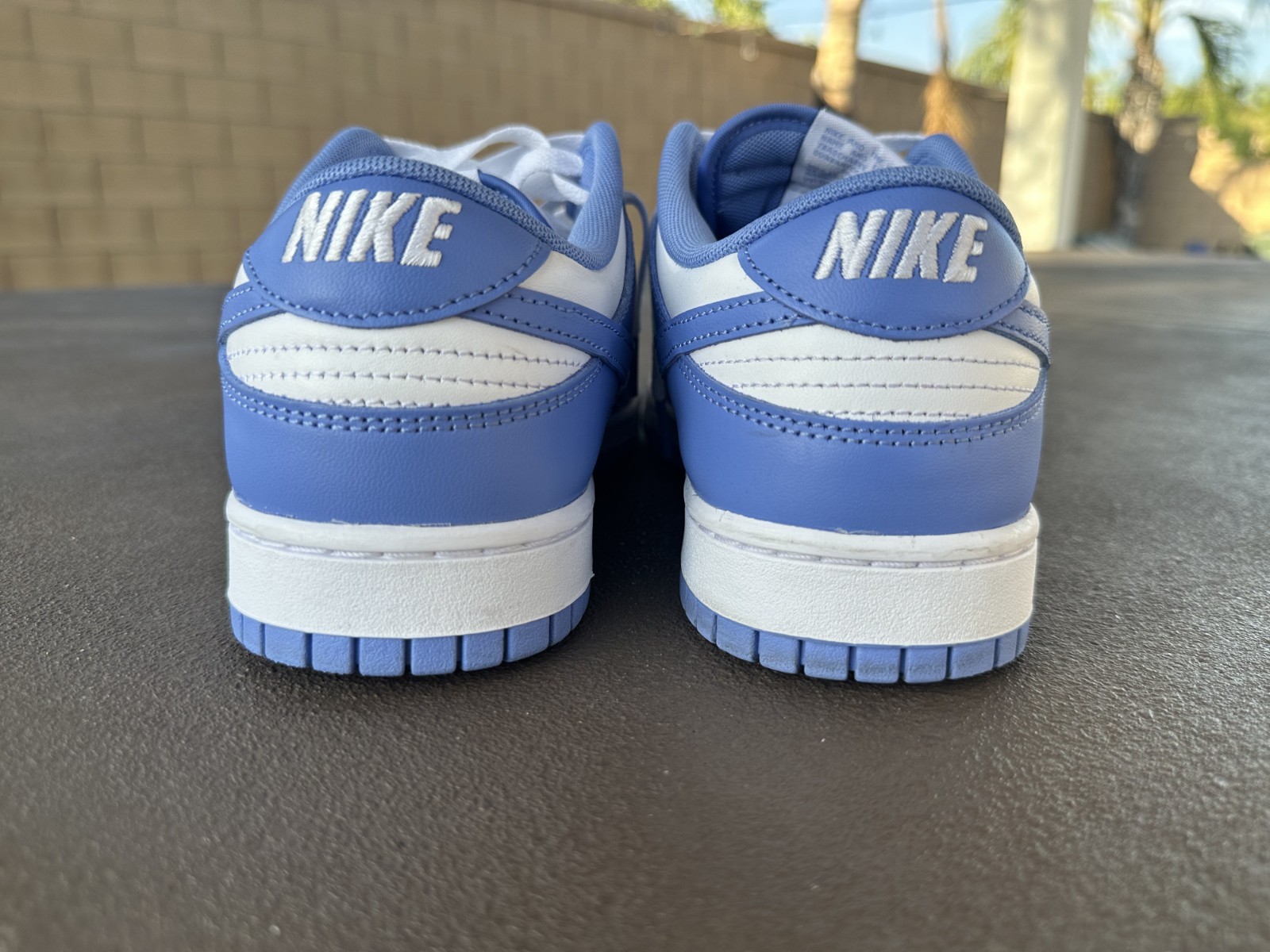 Size 10 – Nike Dunk Low Polar Blue
