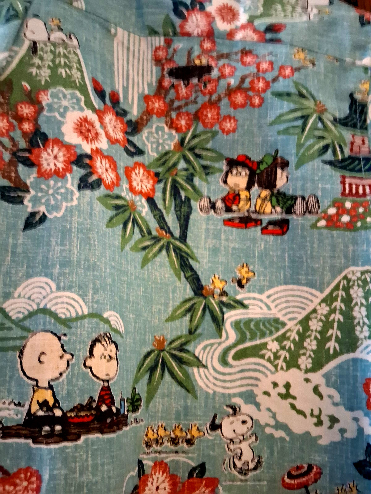 Reyn Spooner Men’s ” PEANUTS IN JAPAN” NWT PULLOVER Classic Fit Aqua Shirts
