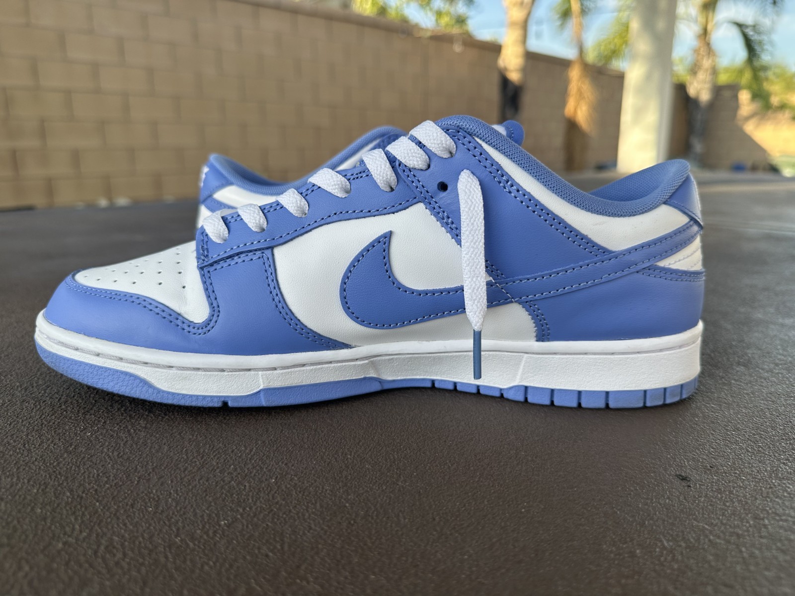 Size 10 – Nike Dunk Low Polar Blue