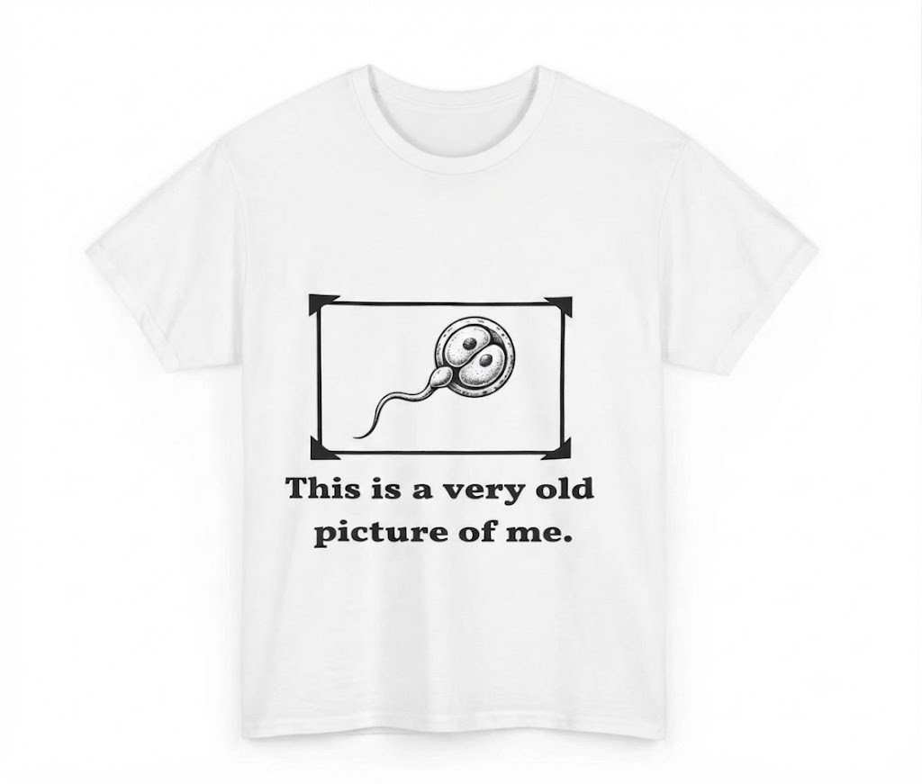 Funny Sarcastic Humor Gift For Friends White T-Shirt