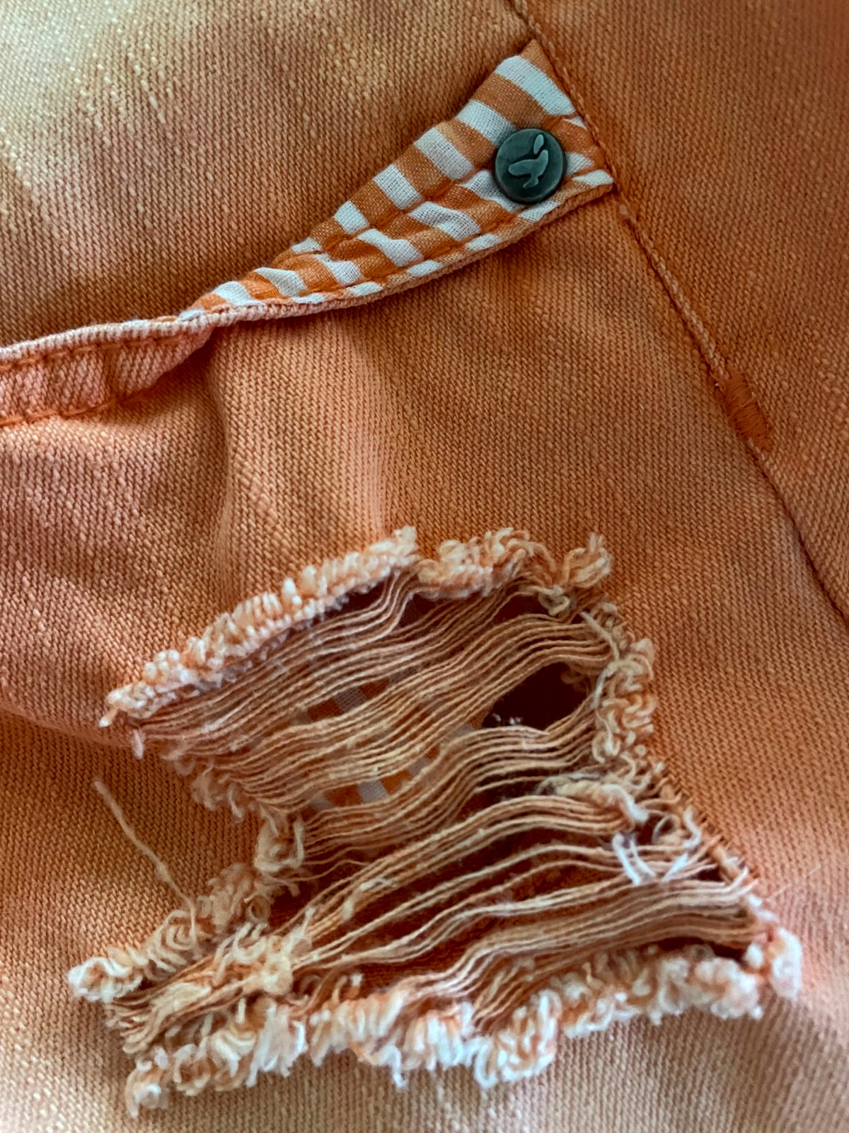 DREAM OUT LOUD distressed orange shorts by Selena Gomez
