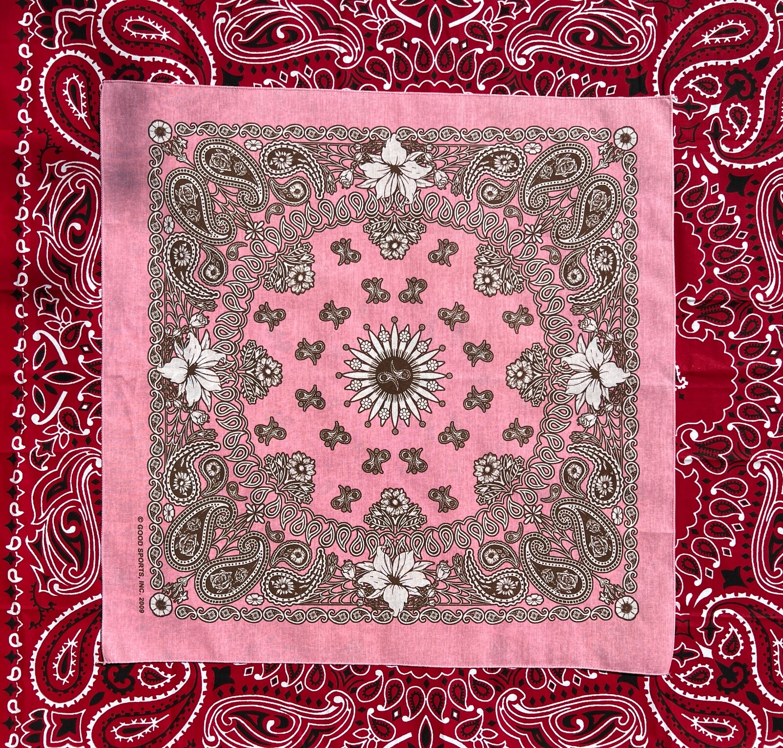 Floral Paisley 22×22 Bandanna