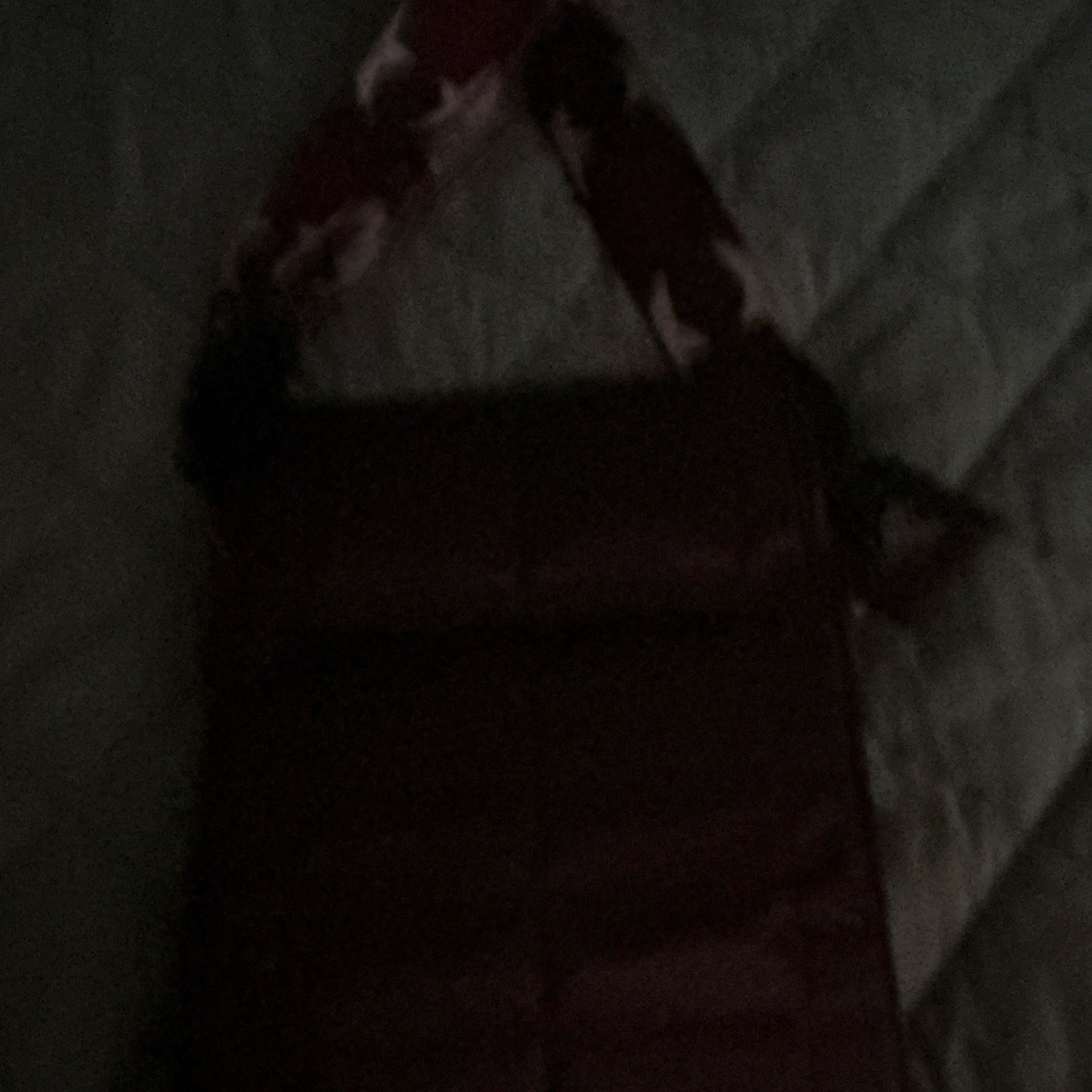 Red Quilted Shoulder Bag Medium Rectangle Snap Closure Pockets Silver Hardware