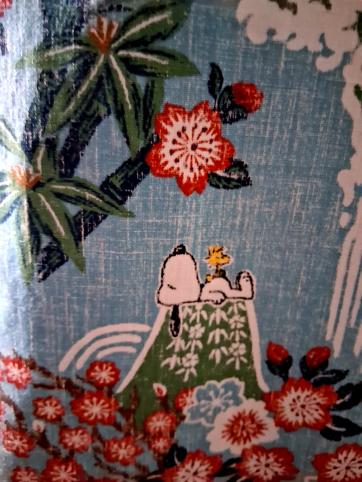 Reyn Spooner Men’s ” PEANUTS IN JAPAN” NWT TAILORED FIT Aqua Button Front Sizes