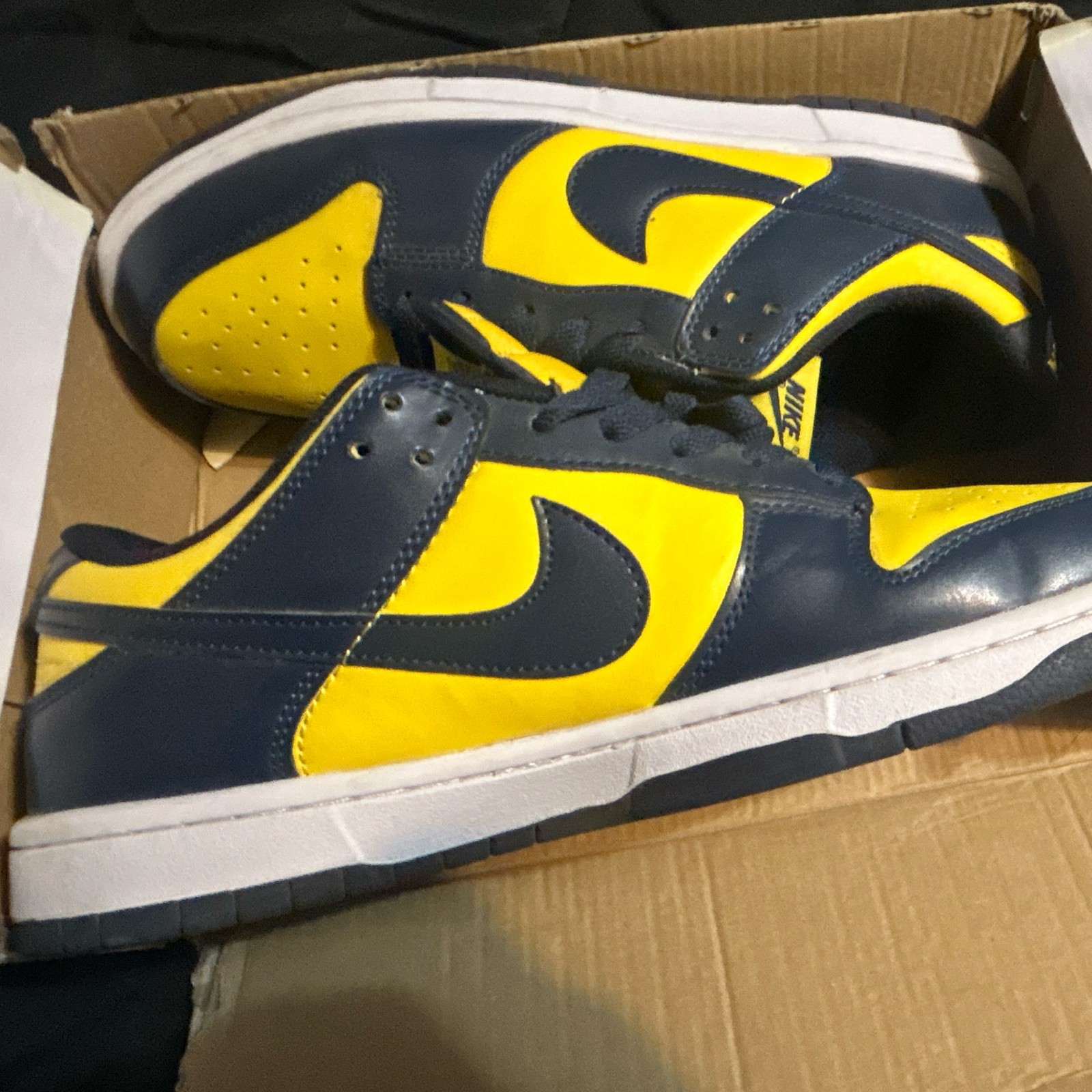 Michigan Dunks Men’s Sneakers Size 10