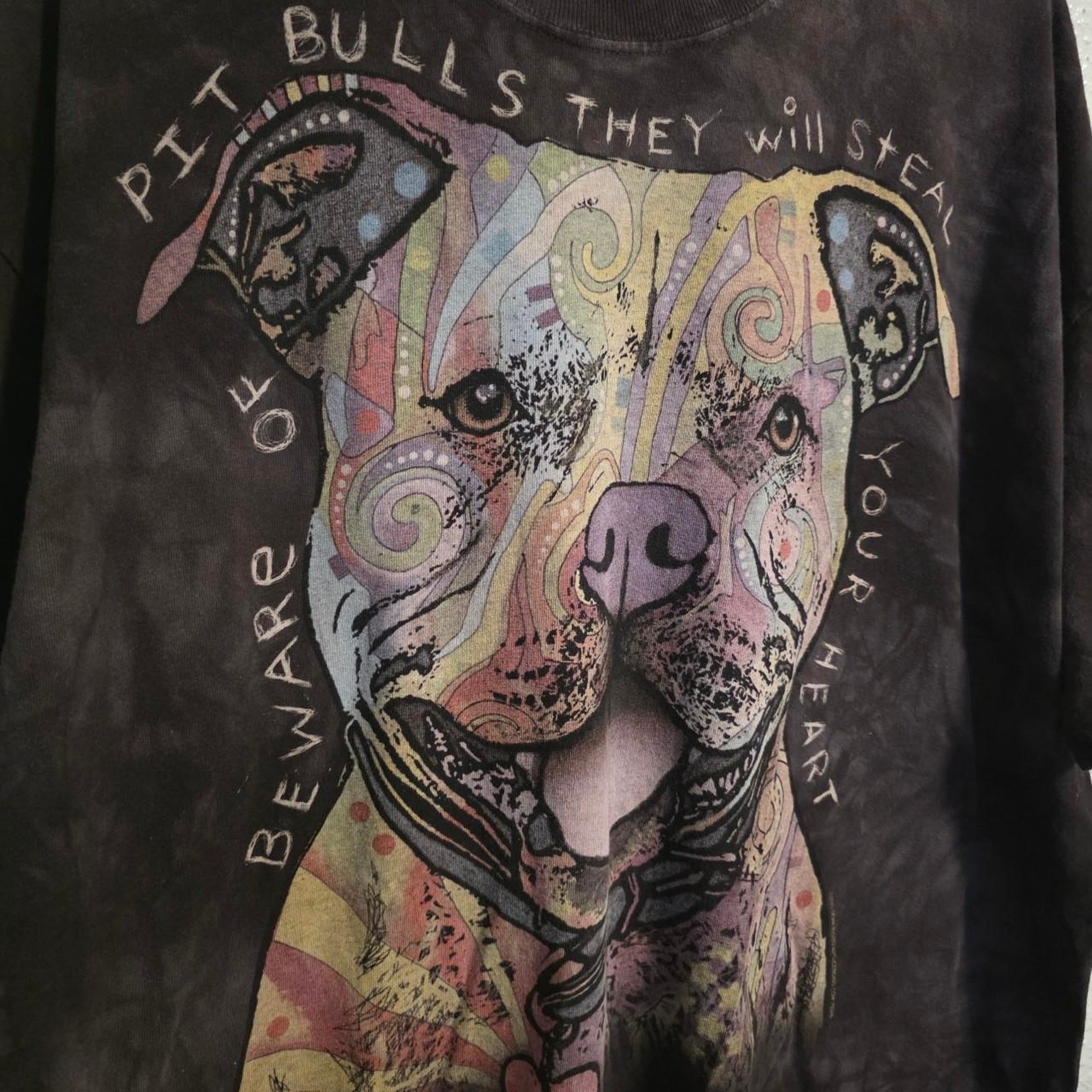 2013 The Mountain Pitbull Graphic Tie Dye Tee