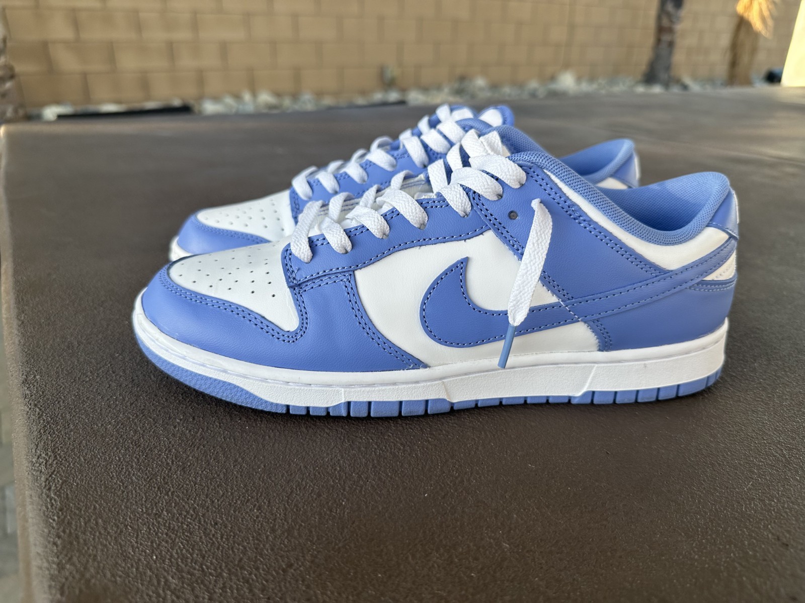 Size 10 – Nike Dunk Low Polar Blue