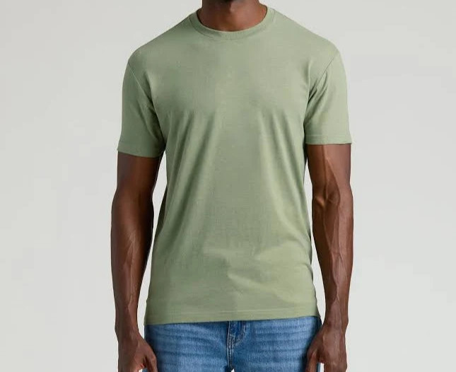 True Classic Classic Bay Green Crew Neck T-Shirt New