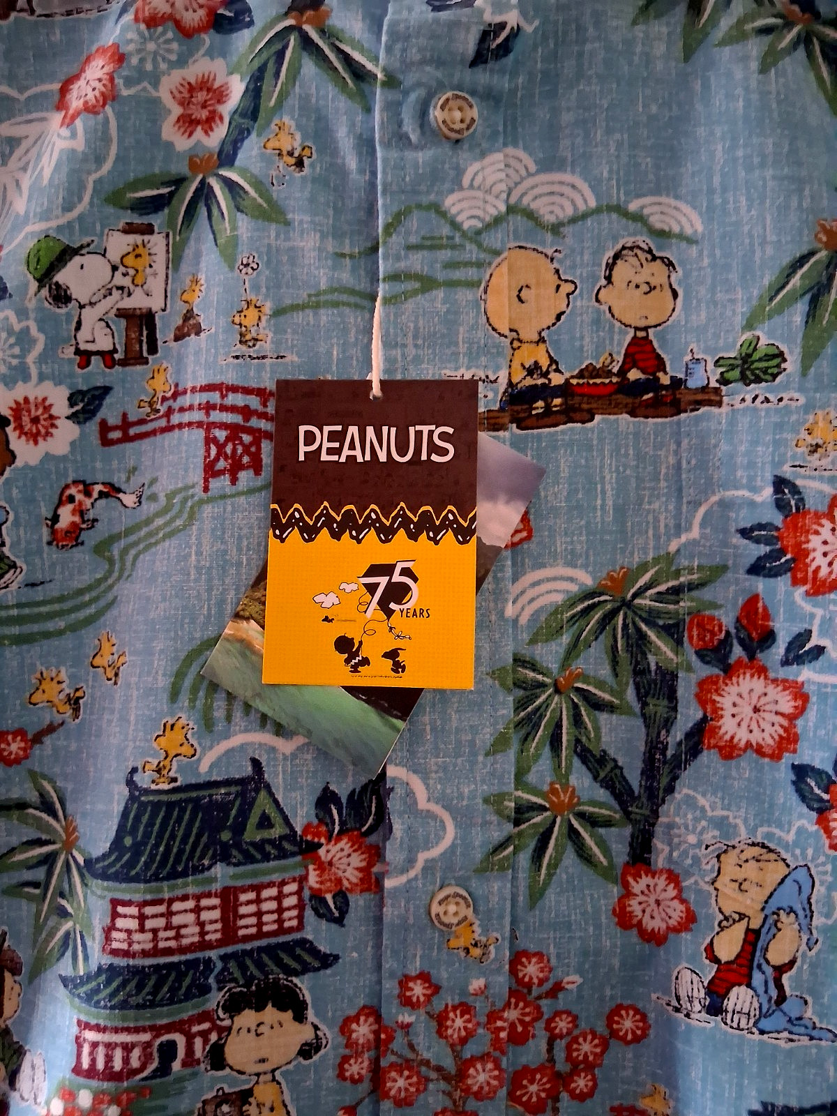 Reyn Spooner Men’s ” PEANUTS IN JAPAN” NWT TAILORED FIT Aqua Button Front Sizes