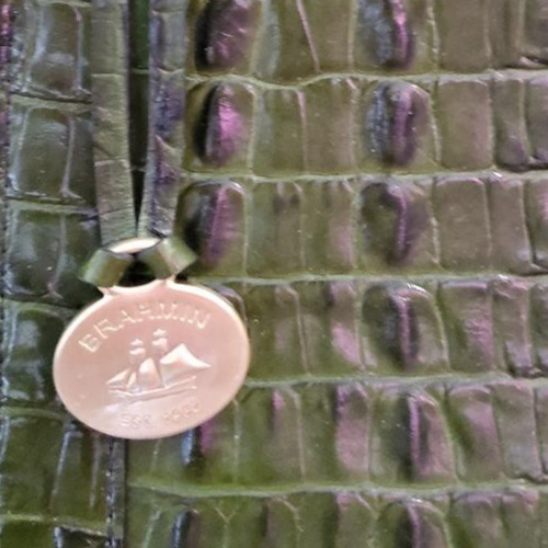 NEW Dustbag Rare Brahmin Anywhere Weekender Bag Green La Scala Tote CHARM Croc