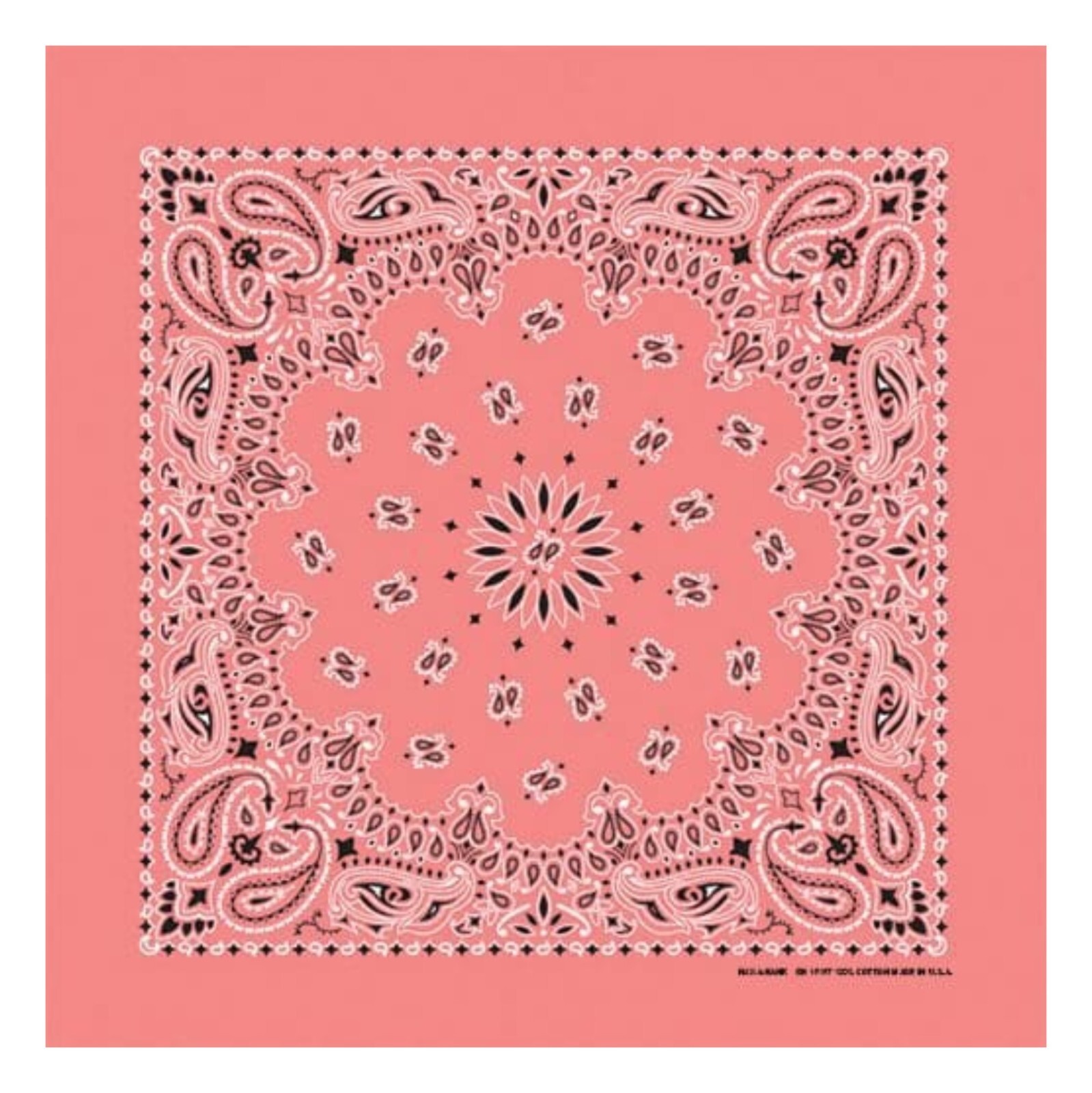 Strawberry Paisley 22×22 Bandanna, Made in USA, Hav-A-Hank