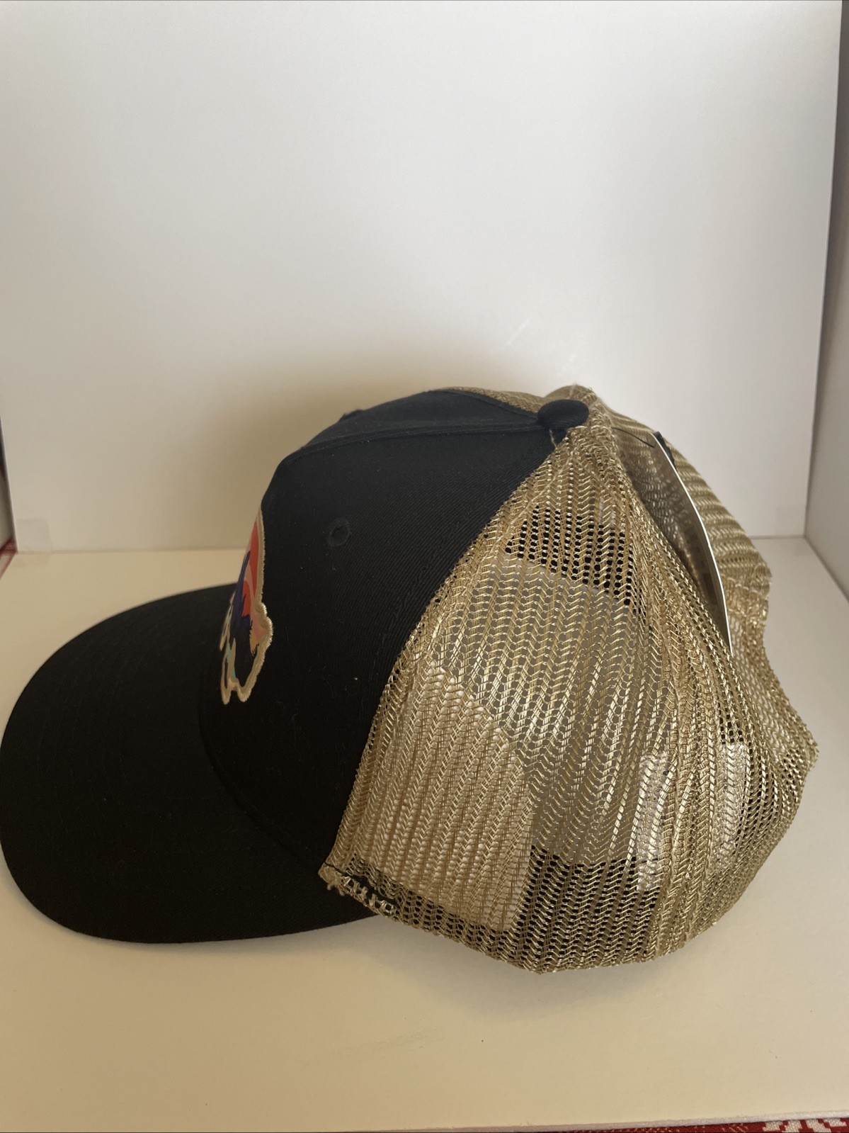 Aquarius Bison With Mountain SnapBack Trucker Cap