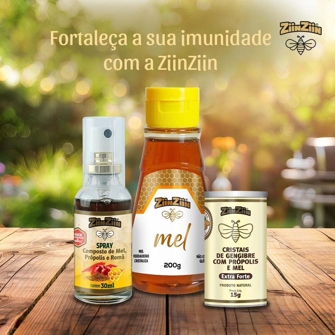 Fortaleça a sua imunidade com a ZiinZiin