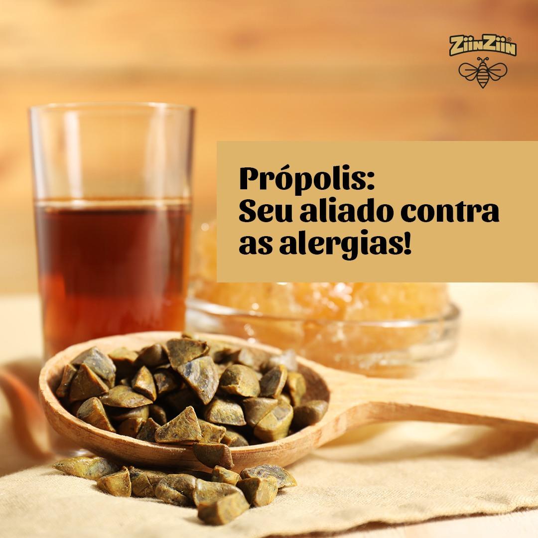 Própolis: Seu aliado contra as alergias!